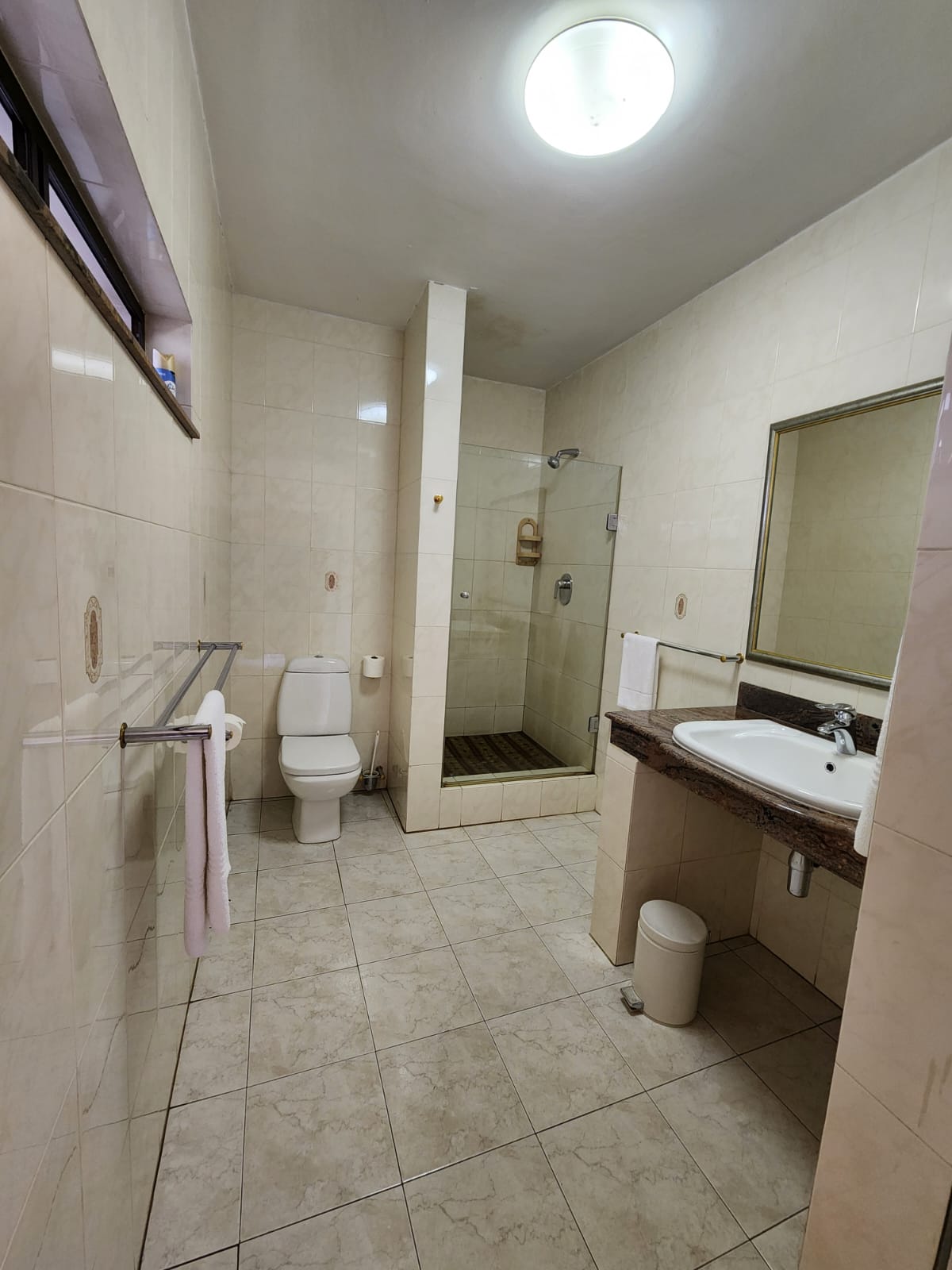 Brooklyn ,Pretoria East Luxurious and Versatile Hospitality Property
